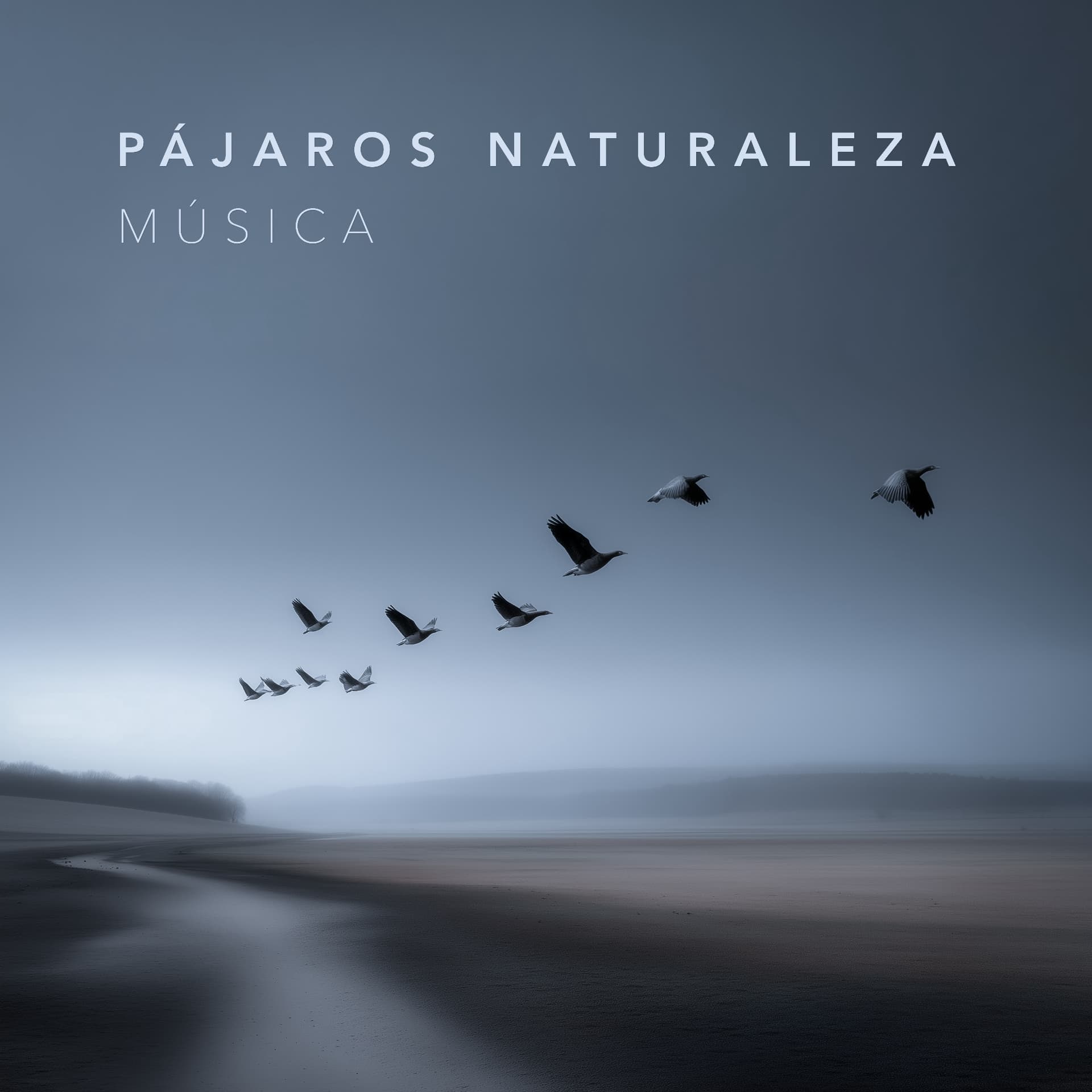 Integral Music Group — image 7
