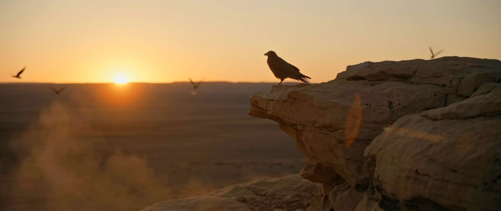 Desert — frame 9