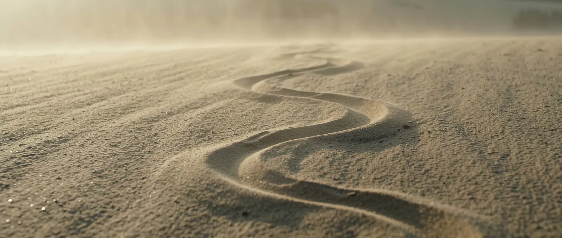 Desert — frame 5